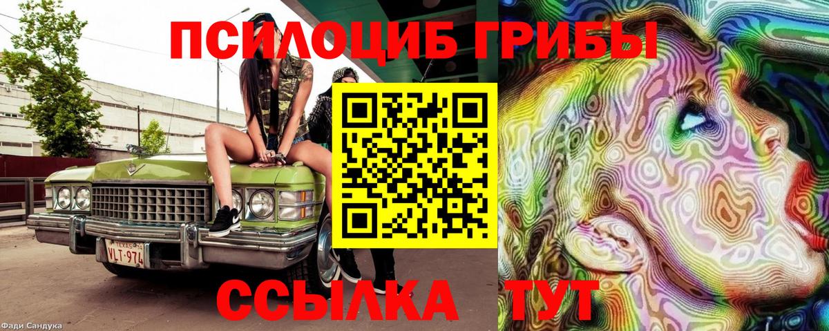 Северобайкальск  где купить наркоту  Вход с VPN  Галлюциногенные грибы MAGIC MUSHROOMS 